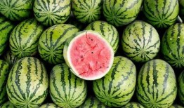 必吃大瓜今日大瓜,今日熱門話題大盤點