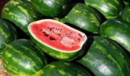 今日吃瓜的圖片素材,揭秘娛樂圈最新熱點事件