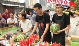 朝陽吃瓜群眾,揭秘都市生活百態