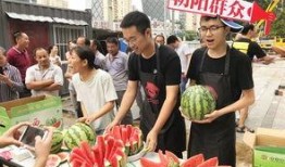 朝陽吃瓜群眾網