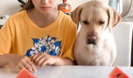 吃瓜視頻每日大賽