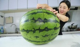 網(wǎng)紅大瓜等你來開,大瓜等你來開，獨家爆料盡在此處