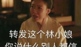 娛樂圈的無恥統治者完整版閱讀,無恥統治者的權謀與真相