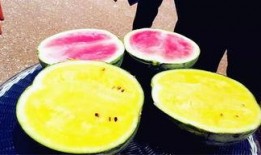 52吃瓜爆料免費吃瓜視頻,免費暢享熱門吃瓜視頻盛宴