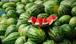 吃瓜網(wǎng)官網(wǎng),帶你領(lǐng)略網(wǎng)絡(luò)娛樂資訊的盛宴