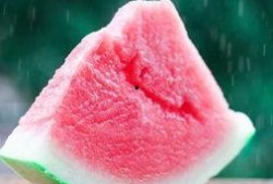 朝陽號外官網免費吃瓜,免費吃瓜盛宴，暢享夏日清涼！