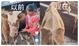 網(wǎng)紅小英被曝大瓜,背后真相令人震驚