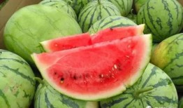 今日吃瓜網(wǎng),揭秘娛樂(lè)圈最新熱點(diǎn)事件，帶你領(lǐng)略明星幕后故事