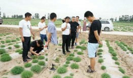 瓜瓜基地,綠色生態農業的璀璨明珠