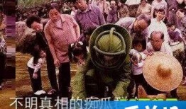 朝陽吃瓜群眾什么意思,網(wǎng)絡(luò)熱詞背后的社會現(xiàn)象