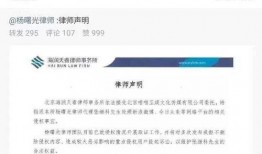 52每日大瓜視頻 爆料還是曝料,揭秘“爆料”與“曝料”背后的真相