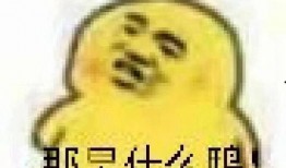 吃瓜的表情包,揭秘網(wǎng)絡(luò)社交中的“圍觀”文化