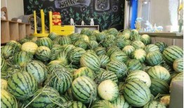 今日吃瓜網,揭秘娛樂圈最新熱點事件，帶你領略明星幕后故事