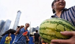 北京朝陽(yáng)吃瓜,瓜界風(fēng)云錄，美食地圖大揭秘