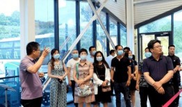 臨朐網(wǎng)紅大玲子事件,揭秘網(wǎng)絡(luò)紅人的爭議與真相