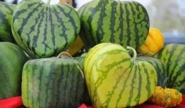 吃瓜大瓜事件,揭秘網(wǎng)絡輿論狂歡背后的真相