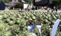 朝陽吃瓜群眾網