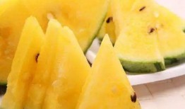 黑瓜吃料網,揭秘美食背后的故事與營養秘密