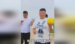 今日吃瓜體育生男友,揭秘校園戀情背后的甜蜜與挑戰