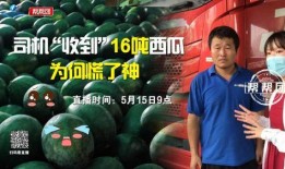 今日吃瓜完整版免費(fèi),完整版免費(fèi)放送，熱點(diǎn)追蹤不容錯(cuò)過(guò)