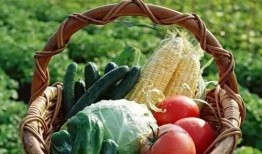 體育圈的天花板 51今日吃瓜大瓜fun 吃瓜視頻在線,今日吃瓜大瓜fun，獨家視頻揭秘精彩瞬間