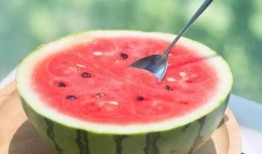 吃瓜網官網免費觀看,熱門劇集一網打盡！