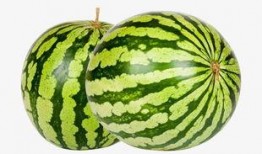 網(wǎng)紅大瓜下載,下載背后的驚人真相