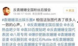 熱點打假 明星黑料一覽表 明星娛樂新聞,明星黑料一覽，熱點打假背后的真相