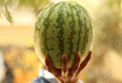 吃瓜大瓜事件,揭秘網絡輿論狂歡背后的真相