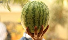 吃瓜大瓜事件,揭秘網絡輿論狂歡背后的真相