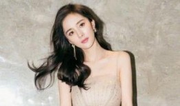 明星黑料女,明星黑料背后的真相與反思