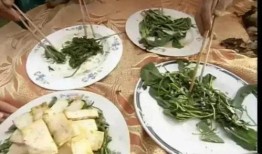 網紅大鵝 今日吃瓜爆料,今日吃瓜大揭秘！