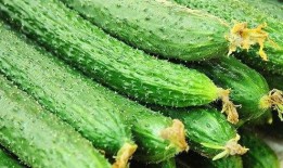 黃瓜c,揭秘黃瓜中的神秘元素