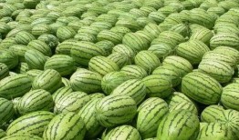 今日吃瓜熱門大瓜每日更新,緊跟熱門大瓜，揭秘娛樂圈最新動態