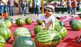 在線吃瓜--今日大賽,今日大賽精彩瞬間大盤點