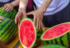 今日吃瓜全集完整版,揭秘娛樂(lè)圈幕后真相，帶你領(lǐng)略明星們的真實(shí)生活