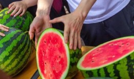 今日吃瓜全集完整版,揭秘娛樂圈幕后真相，帶你領略明星們的真實生活