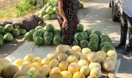 熱點吃瓜,吃瓜群眾如何解讀明星事件