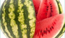 每日吃瓜,輕松掌握娛樂圈新鮮事